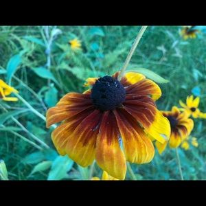 Meet your Posher, Tabitha